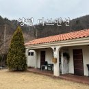 숲속 나들이 펜션 | 양평 숙소 추천 [다브펜션] 숲 속 감성펜션/내돈내산/솔직후기