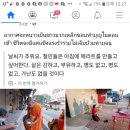 정신유치원 이미지