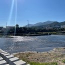 언양공설시장 이미지