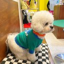 널독(NERDOG) 네이버블로그