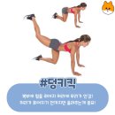 일주일만에 애플힙 만드는 법 이미지