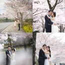 패밀리관광여행사 이미지