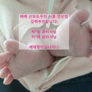 베베산모도우미 | 안산시흥 베베 산모도우미 추천합니다~4주 후기!