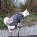 약골자전거도로 이미지