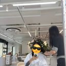 예주헤어 | 서울 헤어컨설팅 차예주 실장 전체 염색 레이어드컷 후기