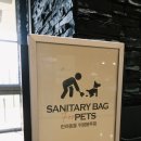 펫마트남원점 | 애견펜션 켄싱턴리조트 충주 펫룸, 콩이와 애견동반 여행