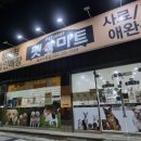 펫마트서동점