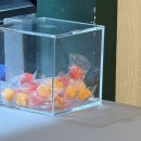 용신23 | [마라탕전문점 샹츠마라 일산서구점] 일산역맛집 솔직후기