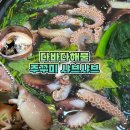 상동로 117번길 48 | 부천 상동 맛집 다바다해물 제철 해산물 신선한 알 주꾸미 샤브샤브 내돈내산 솔직후기