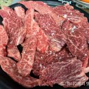 고기마루 이미지