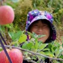 신이환경 이미지