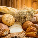 스파이크 짐 이미지