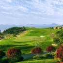 골프사랑 이미지