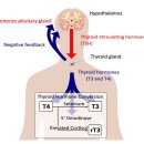 리프러리사랑의원 이미지