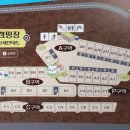 예그리나 B 이미지