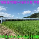 입석리농장 이미지