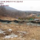 남한산성면 상번천리 661-8 | [광주시토지(전) 법원경매] 광주시 남한산성면 상번천리 시세,매매,급매,전세