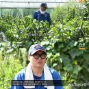 슈퍼푸드 이미지