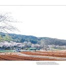 미동농장 이미지