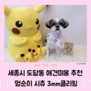 멍순이 | 세종시 도담동 애견미용 추천 멍순이 시츄 3mm클리핑