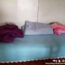 무릉세탁 이미지