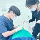 성심치과기공소 이미지