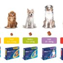 참사랑약국 이미지