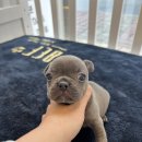 프불하우스 이미지