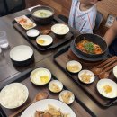 프로스지 | 맛집] 역대급 12호 닭과 스지의 만남! 점심 백반 정식...복현점’ 솔직후기 (feat. 10월 홀 오픈 소식...