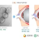 회기24 이미지