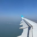 세븐일레븐 하남초이제일점 | [홍콩] 홍콩여행 1일차 기록 - 초이홍 | 카도라베이커리