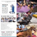 윈치과병원 | 강남구 청담동 동물병원 VIP동물한방재활의학센터byDr신사경 진료시간 접근성 이용후기