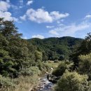 파랑새목장 이미지