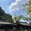 오목대 관광안내소 | 전주 한옥마을 짐 보관하는 곳 무료 사물함 위치 - 동전 교환 꿀팁 오목대 관광 안내소