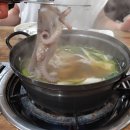 갯뻘낙지쭈꾸미