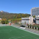 1334 이미지