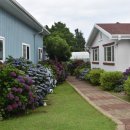 블라제 | 제주 남원 리조트 가족 단체 여행에 딱! 블라제리조트 후기