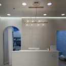 바하 고양이 병원 이미지