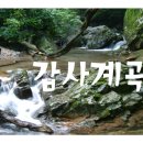 백운면 2140 이미지