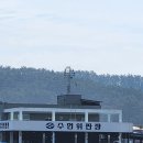 만리포 관광지 | 동료들과 떠난 만리포 캠핑 후기