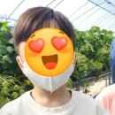 태권농장 이미지