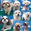 영민동물병원 이미지