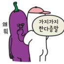 연천 세계캠핑체험존 이미지