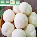 버섯생농장 이미지