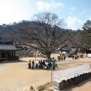 일마레호스텔 이미지