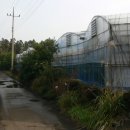 귤하우스 이미지