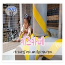 카페넬 - 남동구 인주대로 884 | 카페넬