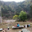 심심산골 이미지