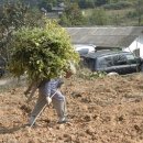 풍경쉼터 이미지