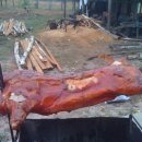 박영태농장 이미지